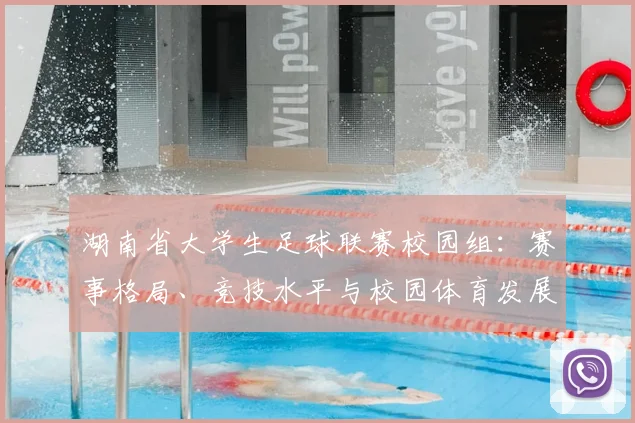 湖南省大学生足球联赛校园组：赛事格局、竞技水平与校园体育发展深度解析