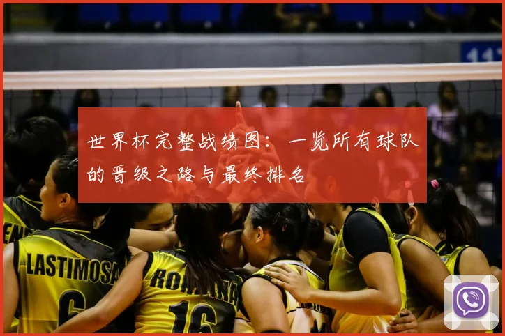 世界杯完整战绩图:一览所有球队的晋级之路与最终排名